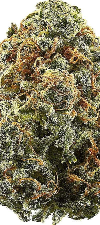 Blue Dream — 1g