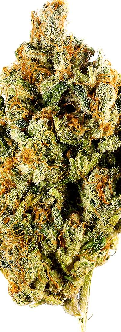 Blue Nerdz — 1g