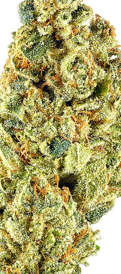 Headband — 1g