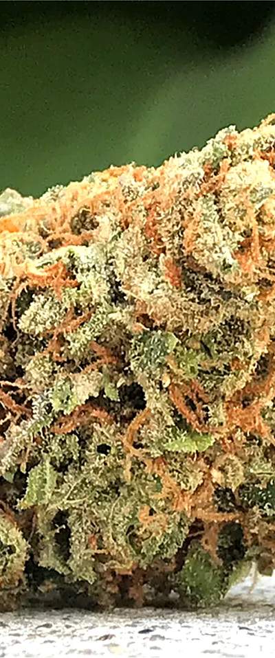 Maui Wowie — 1g