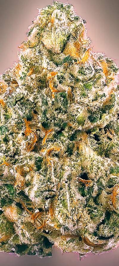 Obama Runtz Shake — 5g