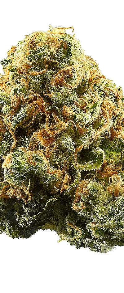 Pineapple Express Shake — 5g