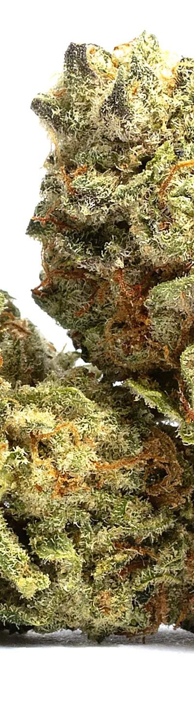 Sour Runtz — 1g